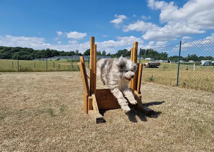 Ostseeferienpark Walkyrien - Bootsmann 10 *